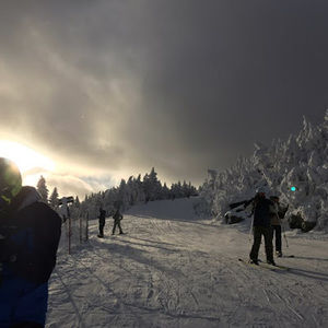 Meet your Posher, Max